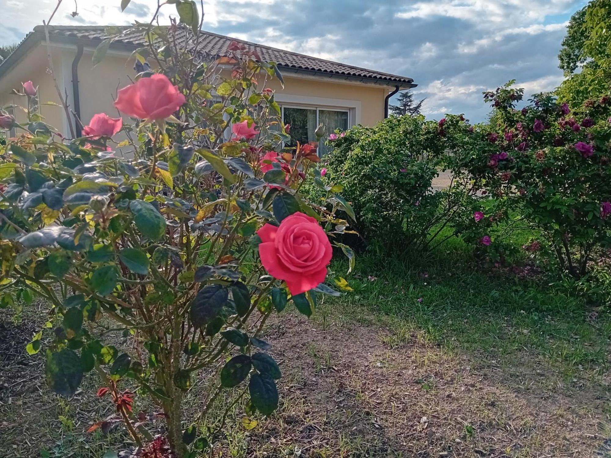 Gite L'Entraxe très lumineux au cœur de Saint Didier Esterno foto